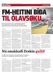 Síða 16