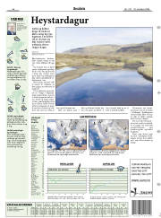 Síða 19