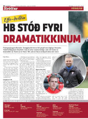 Síða 20