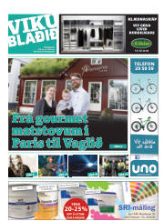 Síða 25