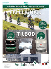 Síða 27