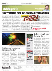 Síða 2