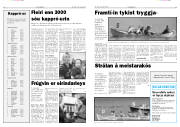 Síða 7