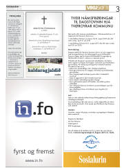 Síða 3