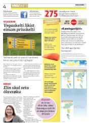 Síða 4