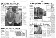 Síða 6