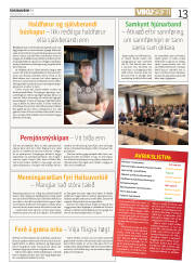 Síða 13