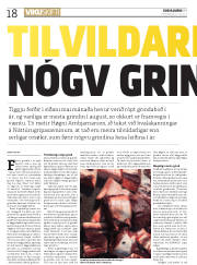 Síða 18