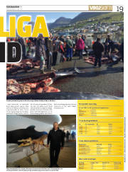 Síða 19