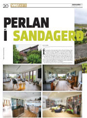 Síða 20