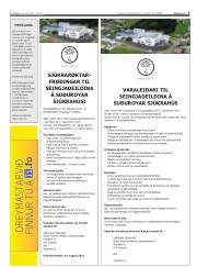 Síða 3