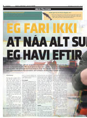Síða 6