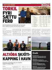 Síða 13