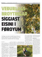 Síða 12