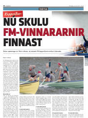 Síða 20