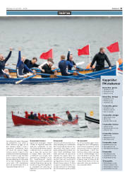 Síða 21
