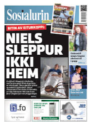 Síða 1