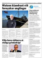 Síða 3