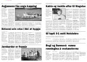 Síða 8