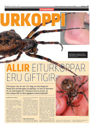 Síða 11