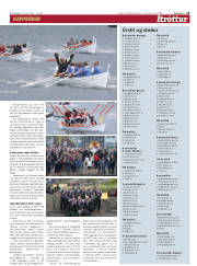 Síða 15