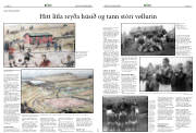 Síða 17