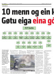 Síða 6