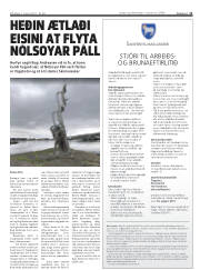 Síða 11