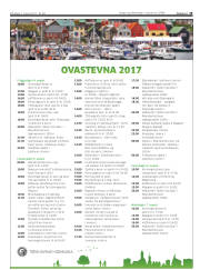 Síða 19