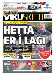 Síða 1