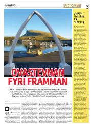 Síða 3