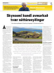 Síða 5
