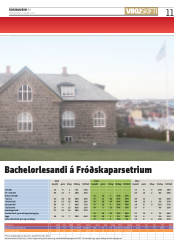 Síða 11