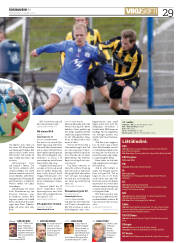 Síða 29