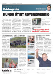 Síða 2