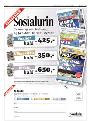 Síða 3
