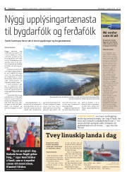 Síða 8
