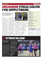 Síða 13