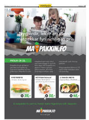 Síða 21