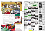 Síða 28