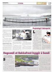 Síða 17