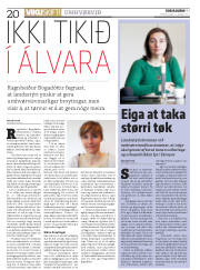 Síða 20