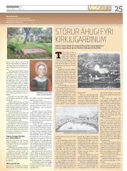 Síða 25