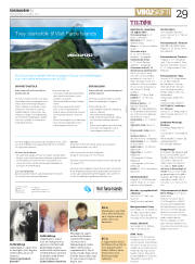 Síða 29