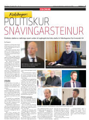 Síða 3