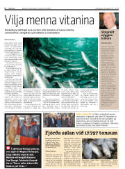 Síða 6