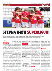 Síða 13