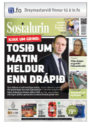 Síða 1