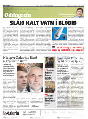 Síða 2