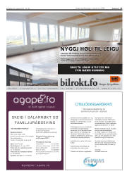 Síða 17